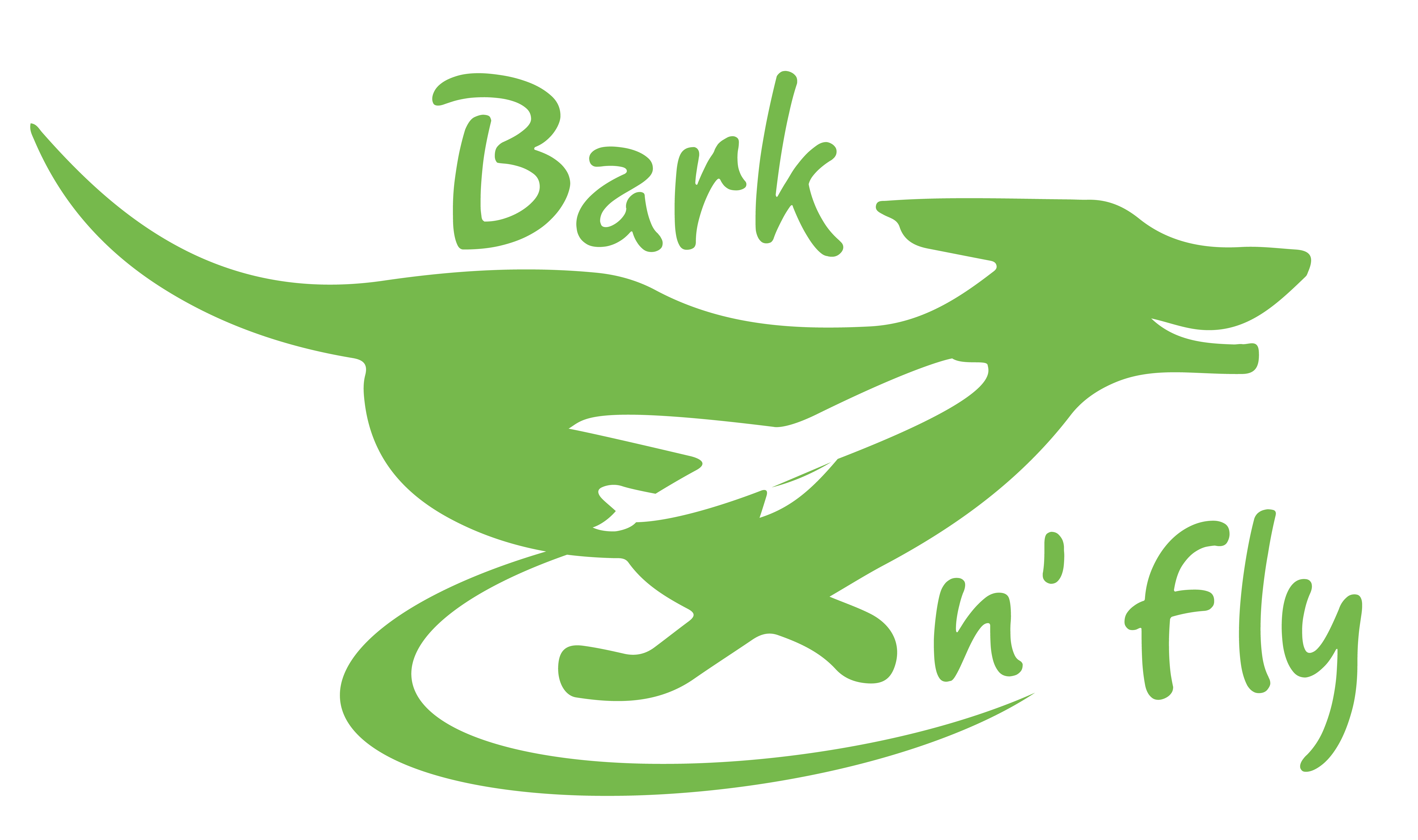 Bark n' Fly